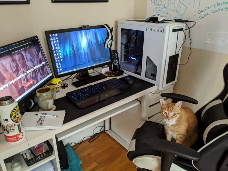 Matt+-+Desk+&+Cat